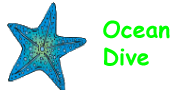 Ocean Dive