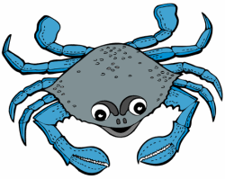 Blue Crab