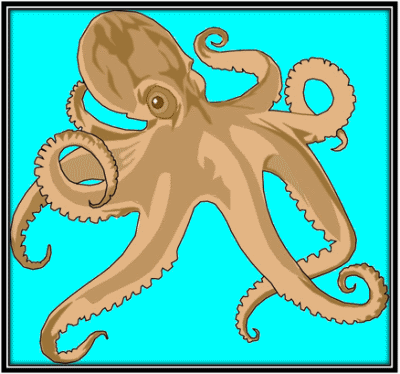 Octopus