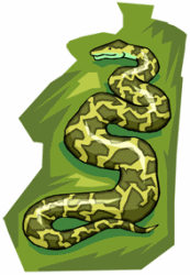 Anaconda