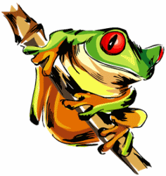 Tree Frog