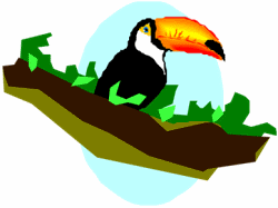 Toucan