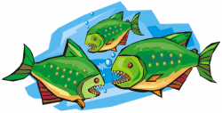 Piranhas