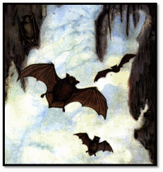 Bats