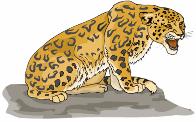 Leopard