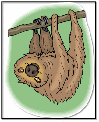 Sloth