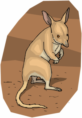 Bilby