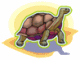 Desert Tortoise