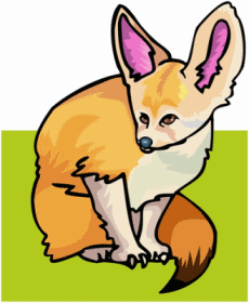 Fennec Fox