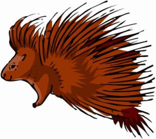 Porcupine