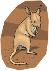 Bilbies