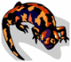 Gila Monster