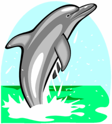 Dolphin