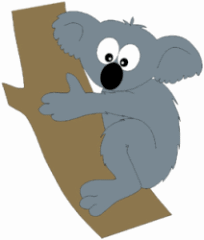 Koala