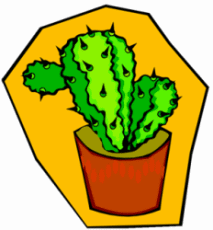 Cactus Plant