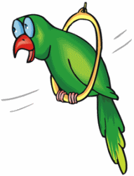 Parrot