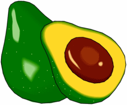 Green Avocado