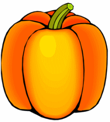 Orange Pumpkin