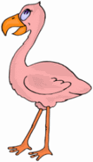 Pink Flamingo