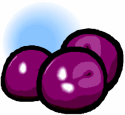 Purple Plums