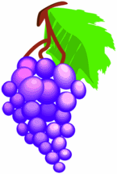 Purple Grapes