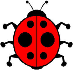 Red Ladybug