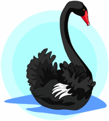 Black Swan