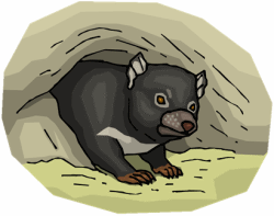 Black Tasmanian Devil