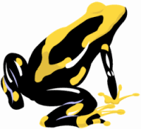 Yellow Banded Poison Dart Frog