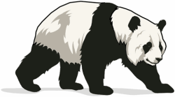 Giant Panda