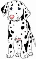 Dalmatian