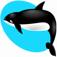 Killer Whale