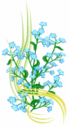 Blue Forget-me-Nots