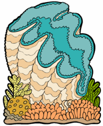 Giant Clam