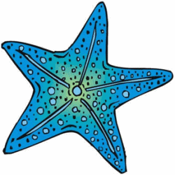 Blue Starfish