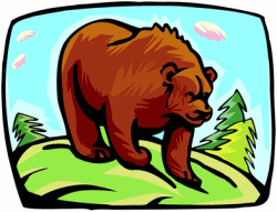 Brown Bear