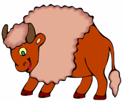 Brown Buffalo