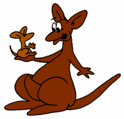 Brown Kangaroo