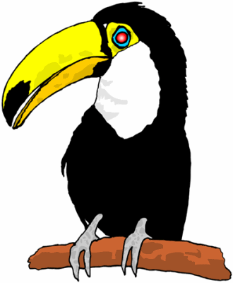 Toucans