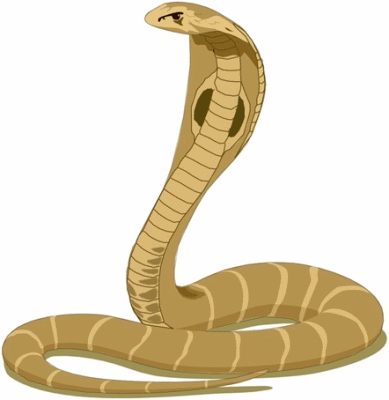 King Cobra