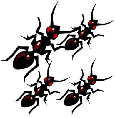 Ants