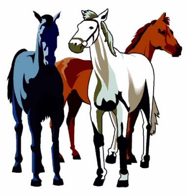 Horses