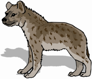 Hyena