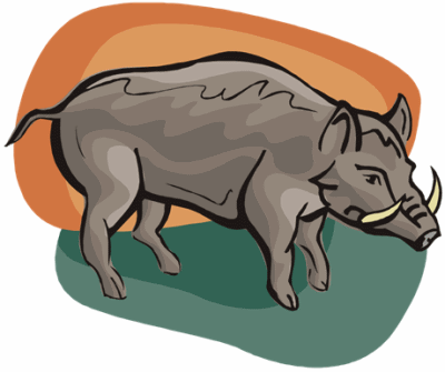 Warthog