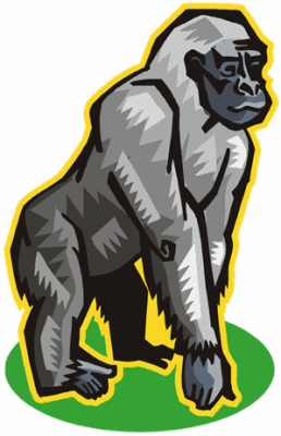 Gorilla