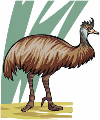 Emu