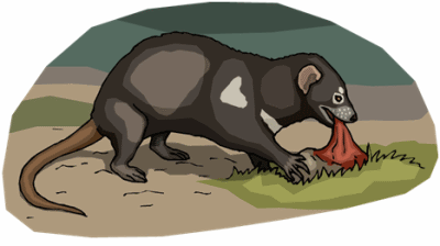 Tasmanian Devil