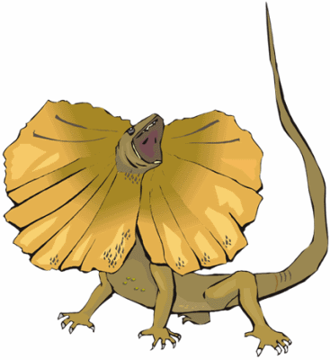 Frilled Neck Lizard