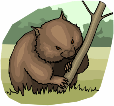 Wombat