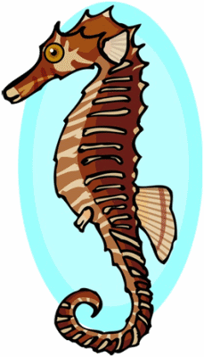 Seahorse